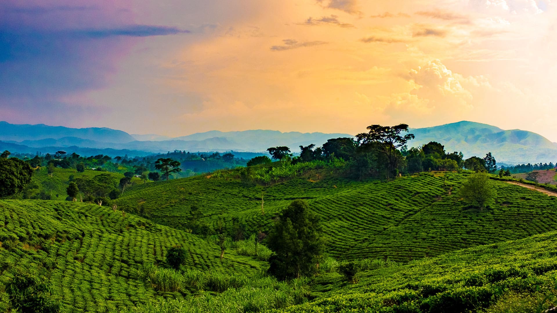 Rwanda visual data 8