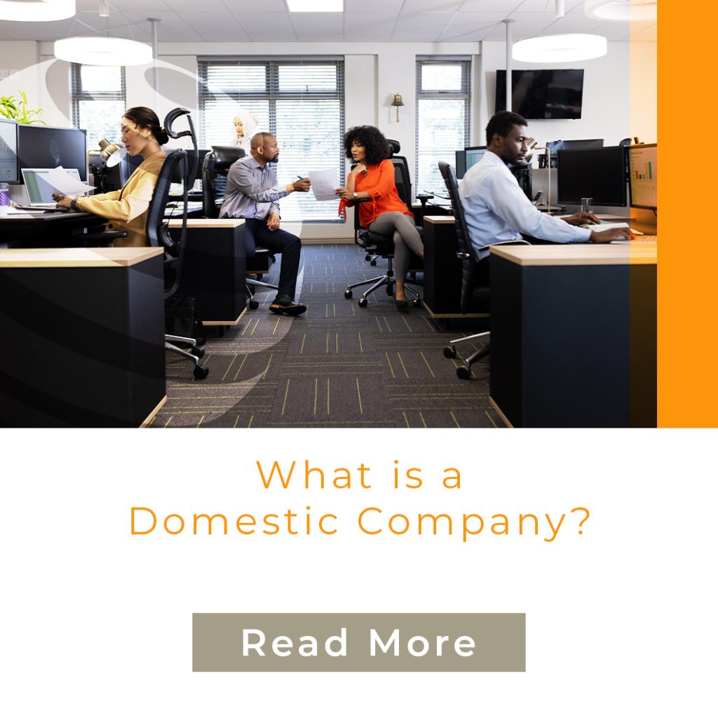 What is a domestic company